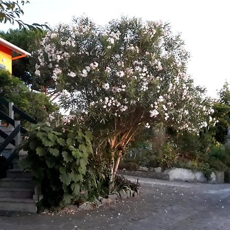 Casa Gwendoline - Albergue / Hostel / Al - Caminho Da Costa Vila Nova de Cerveira Exterior photo
